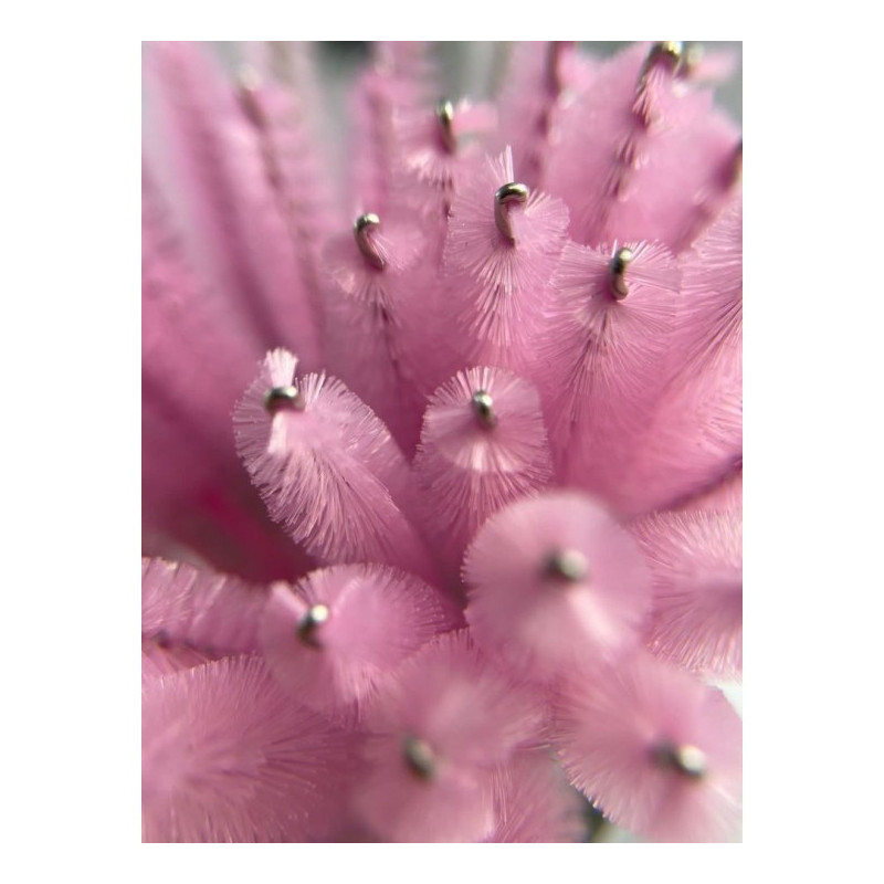 Brosse à mascara jetable – Lot de 50