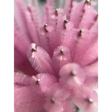 Brosse à mascara jetable – Lot de 50