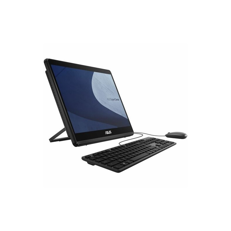 ASUS ExpertCenter E1 AiO E1600WKAT-BMR009