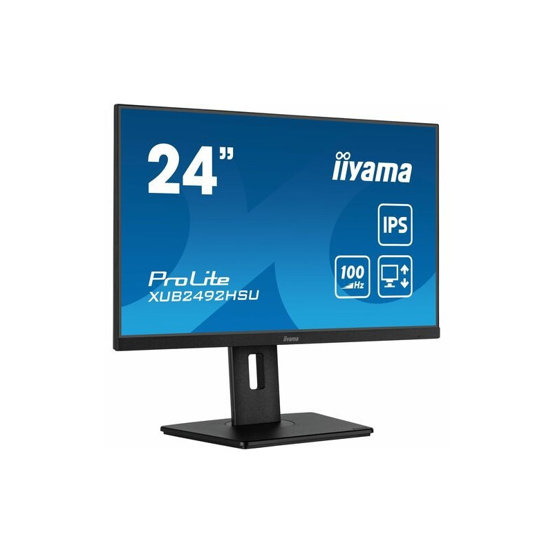 Moniteur LED iiyama ProLite XUB2492HSU-B6